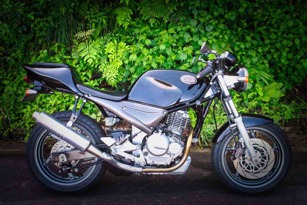 goose_250