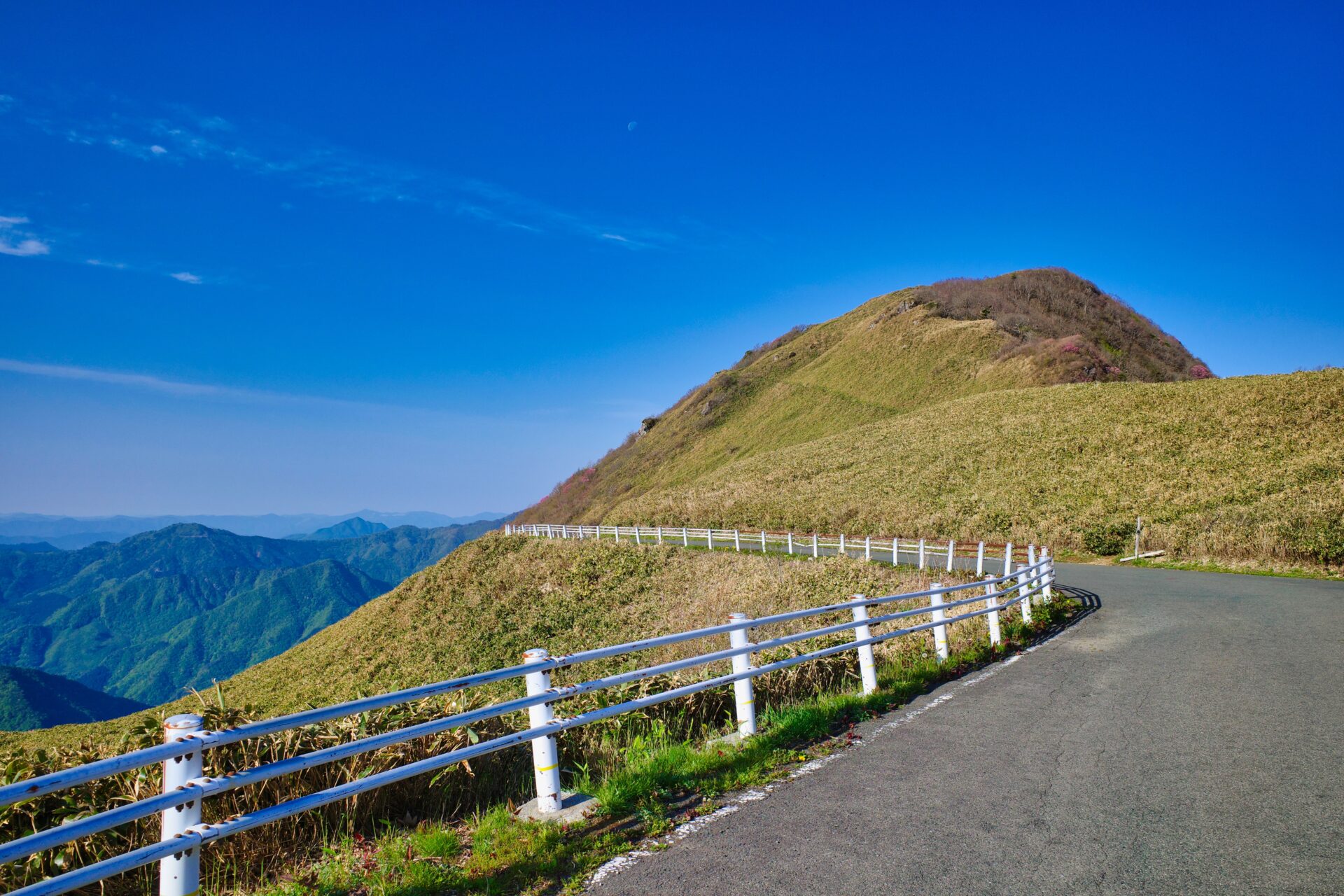 UFOライン